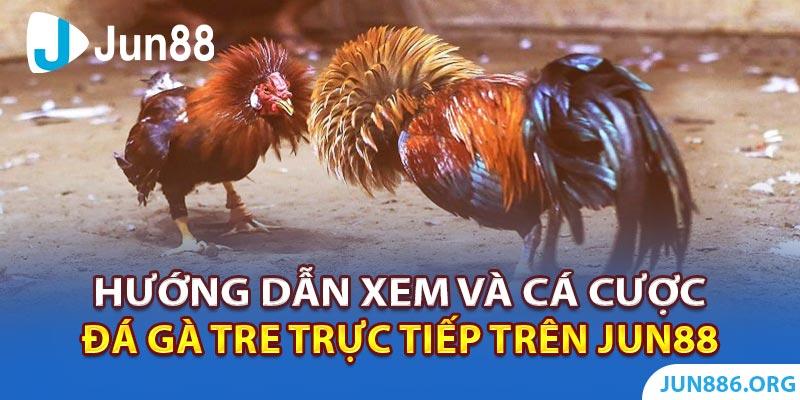 how secure are online casino games Tìm hiểu về độ an toàn khi tham gia trò chơi casino trực tuyến